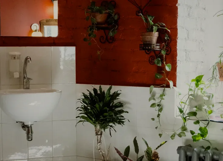 A shared bathroom with a red wall and plants.