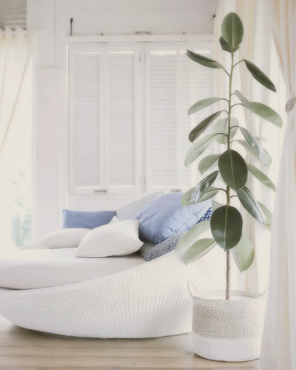 A tall plant in a woven basket beside a white wicker daybed.