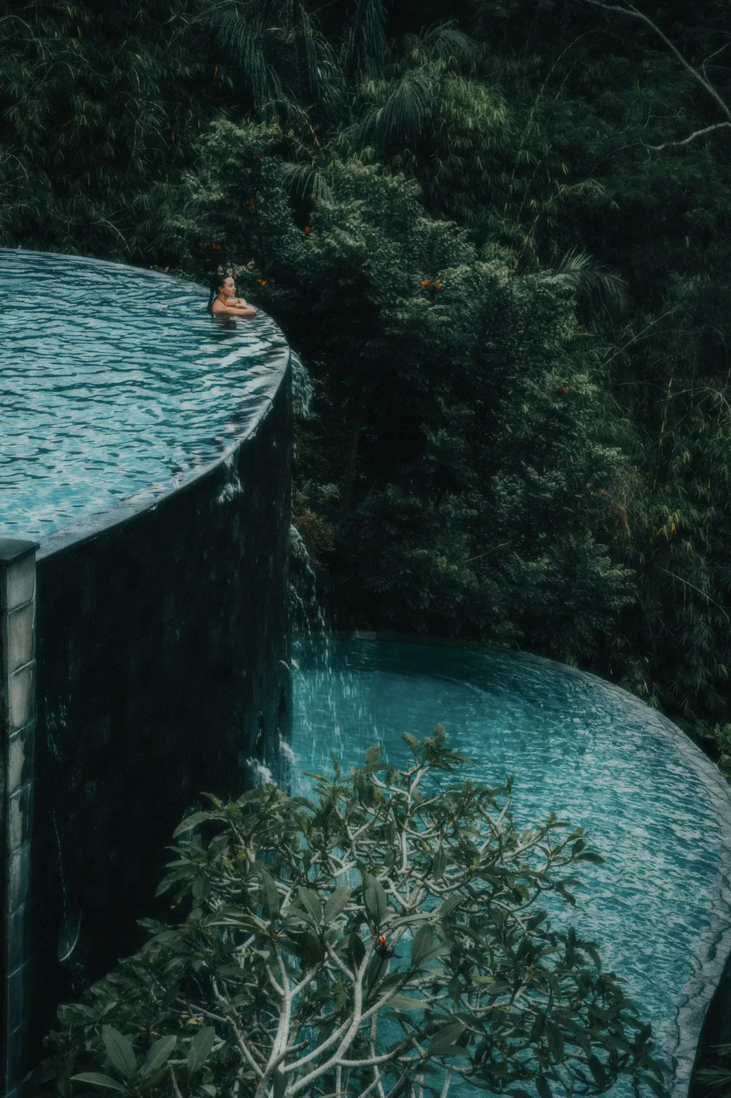 A curved pool edge above a jungle canopy.