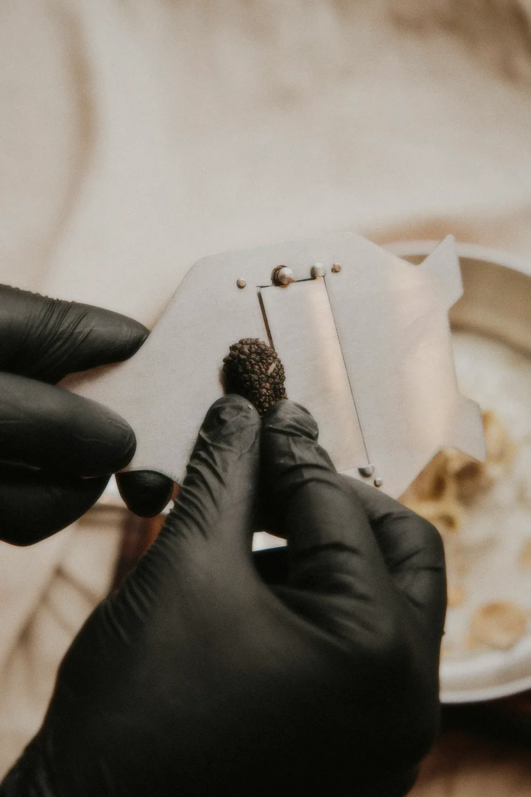 Gloved hands shaving a black truffle.