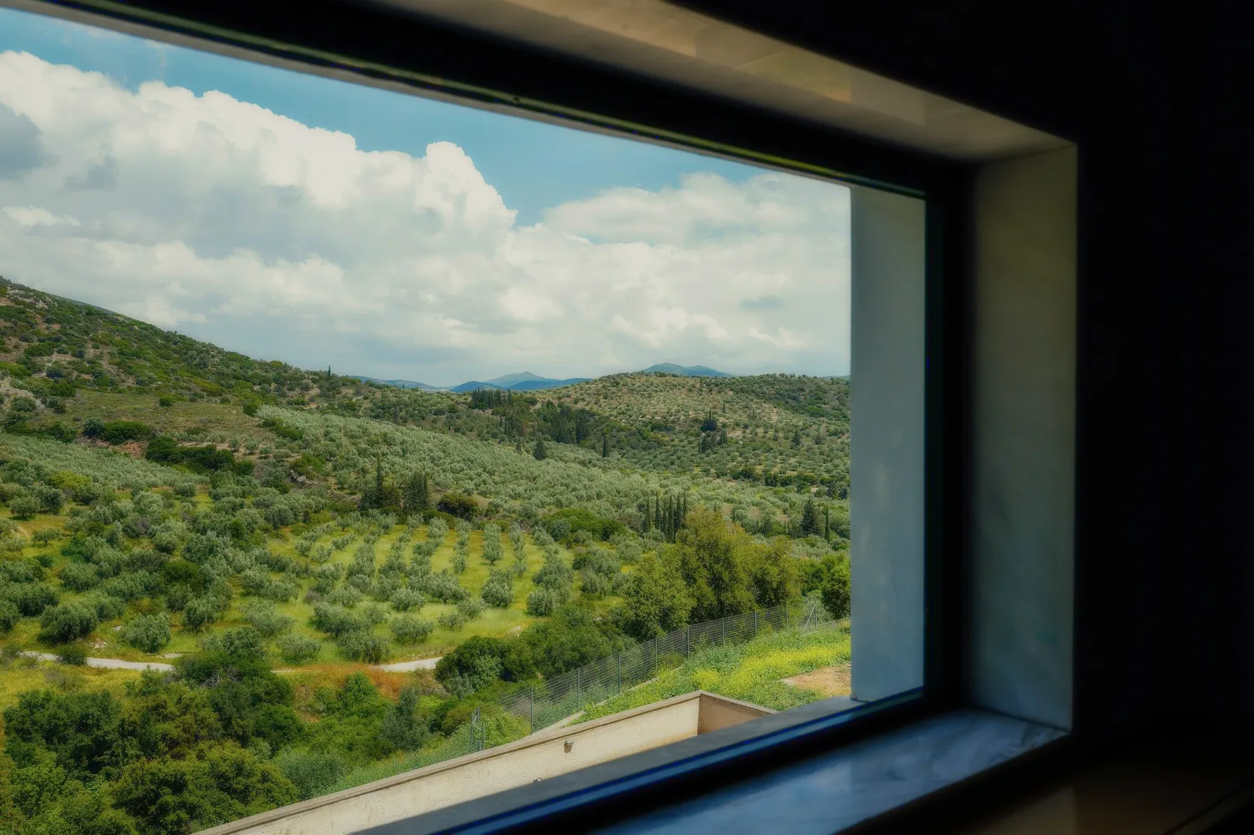 Olive groves and clouds through a wide window.