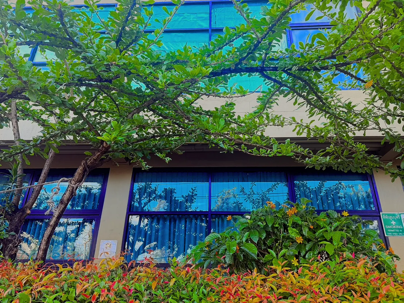 The hotel's front, glass and dark frames behind a flowering hedge.
