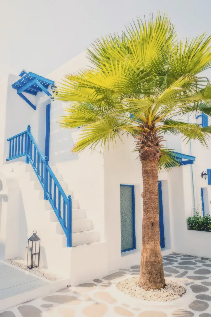 A palm tree before a white house with blue stairs.